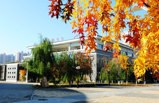 铁岭卫生职业学院