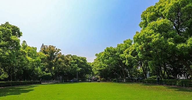 浙江大学医学院