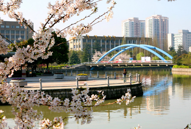 浙江工业大学药学院