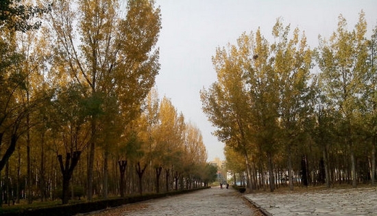 北京中医药大学东方学院