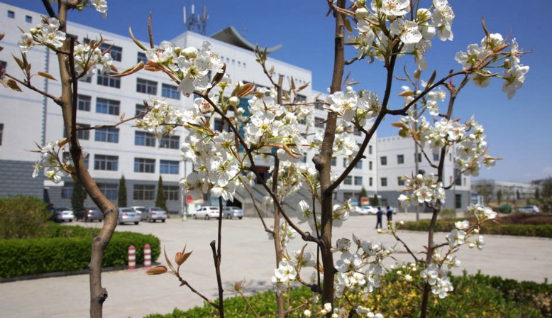 山西药科职业学院