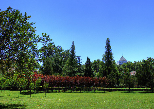 山东大学齐鲁医院