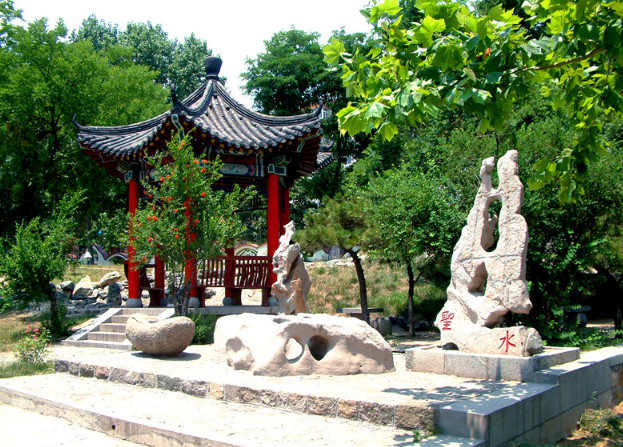 泰山医学院