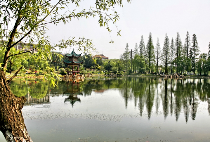 湖南农业大学教育学院