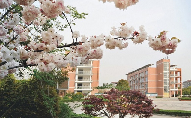 桐乡市卫生学校