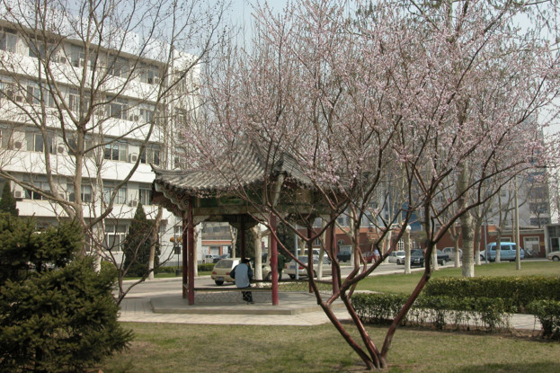 天津医科大学
