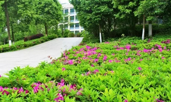 赣南卫生健康职业学院