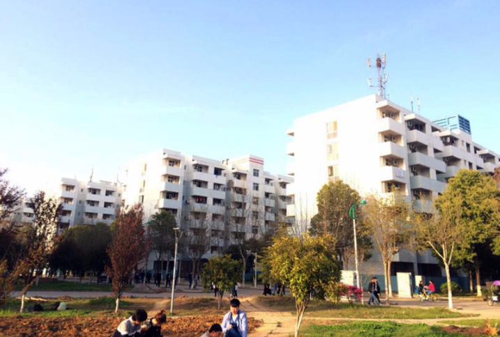 武汉城市职业学院