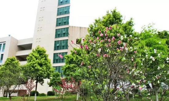 赣南卫生健康职业学院