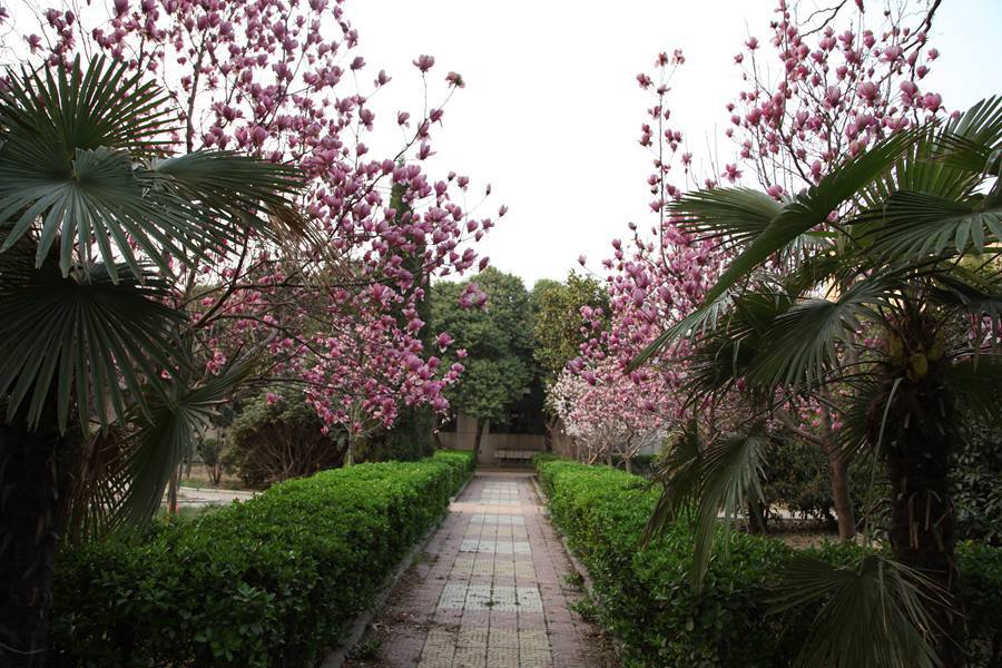 平顶山市财经学校，专业设置