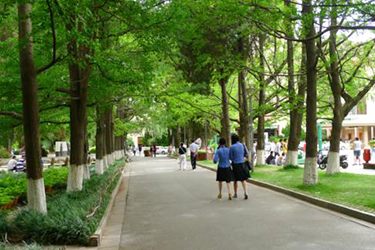 重庆市涪陵信息技术学校