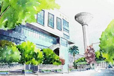 重庆市第三卫生学校2020年招生分数线