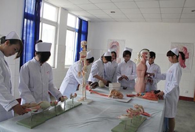 甘肃2022年护理学校理论包括什么