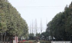 成都华西卫校青羊校区2019招生简章及计划