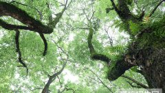 四川省质量技术监督学校宿舍条件及图片