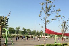 泸州幼师学校幼师双语教育专业招生简介