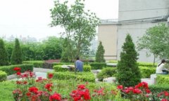 大理大学医学院药学专业