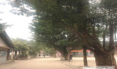 峨眉山市旅游学校2019招生简章及计划