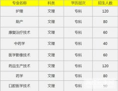 济南护理职业学院成都校区2019招生简章及计划