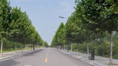 四川省阿坝卫生学校2019招生录取分数线