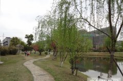 四川五月花专修学院2019有哪些专业及什么专业好