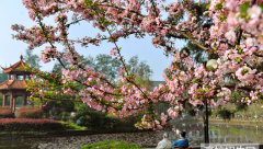 四川大学医学院2019招生录取分数线