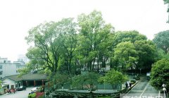 四川省质量技术监督学校2019年四川卫校排名解读