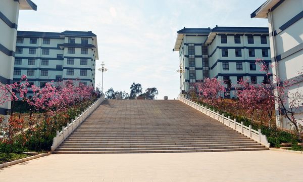 昆明卫生职业学院樱花图片