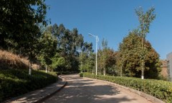 云南技师学院学院道路