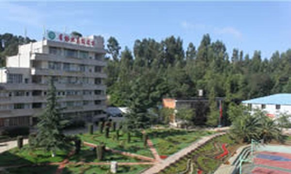 云南省林业高级技工学校校园绿地