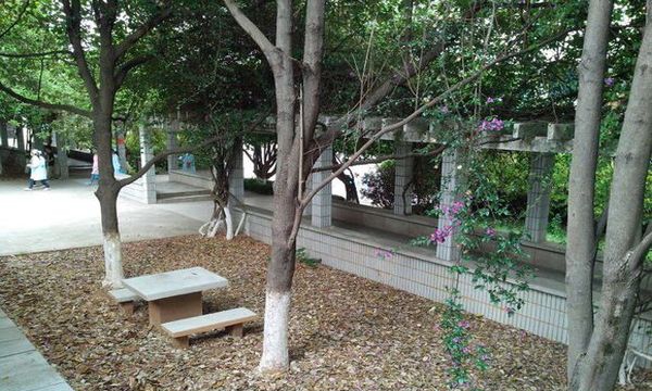 楚雄医药高等专科学校石凳