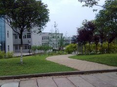 川北医学院2019招生录取分数线