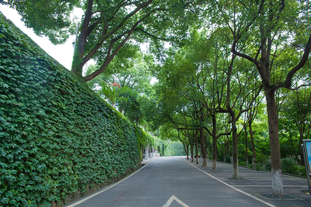重庆立事信息工程学校