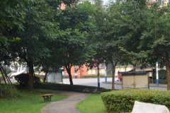 四川卫生康复职业学院2019招生简章及计划