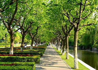 绍兴交通职业学校2025年有哪些专业招生
