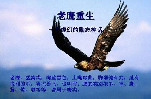 2022自考考试地点一般在哪里,怎么查询