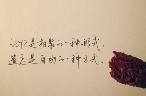 成人自考大专国家认可吗,含金量高吗