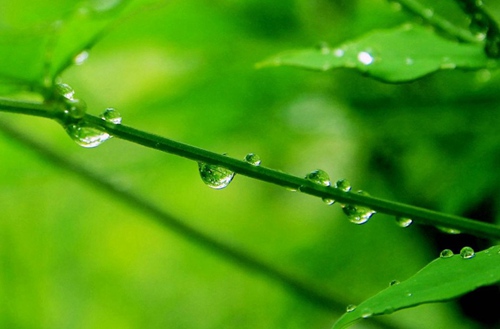 想要考大专文凭的流程大概是怎么样的