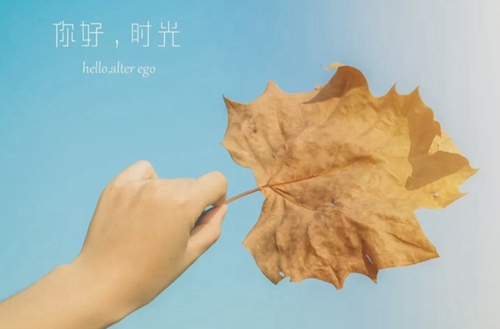 黑龙江成人高考成绩查询时间